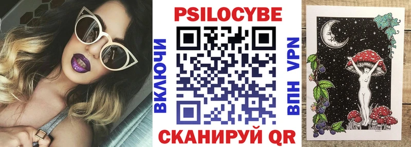 Галлюциногенные грибы Psilocybe  купить   Перевоз 